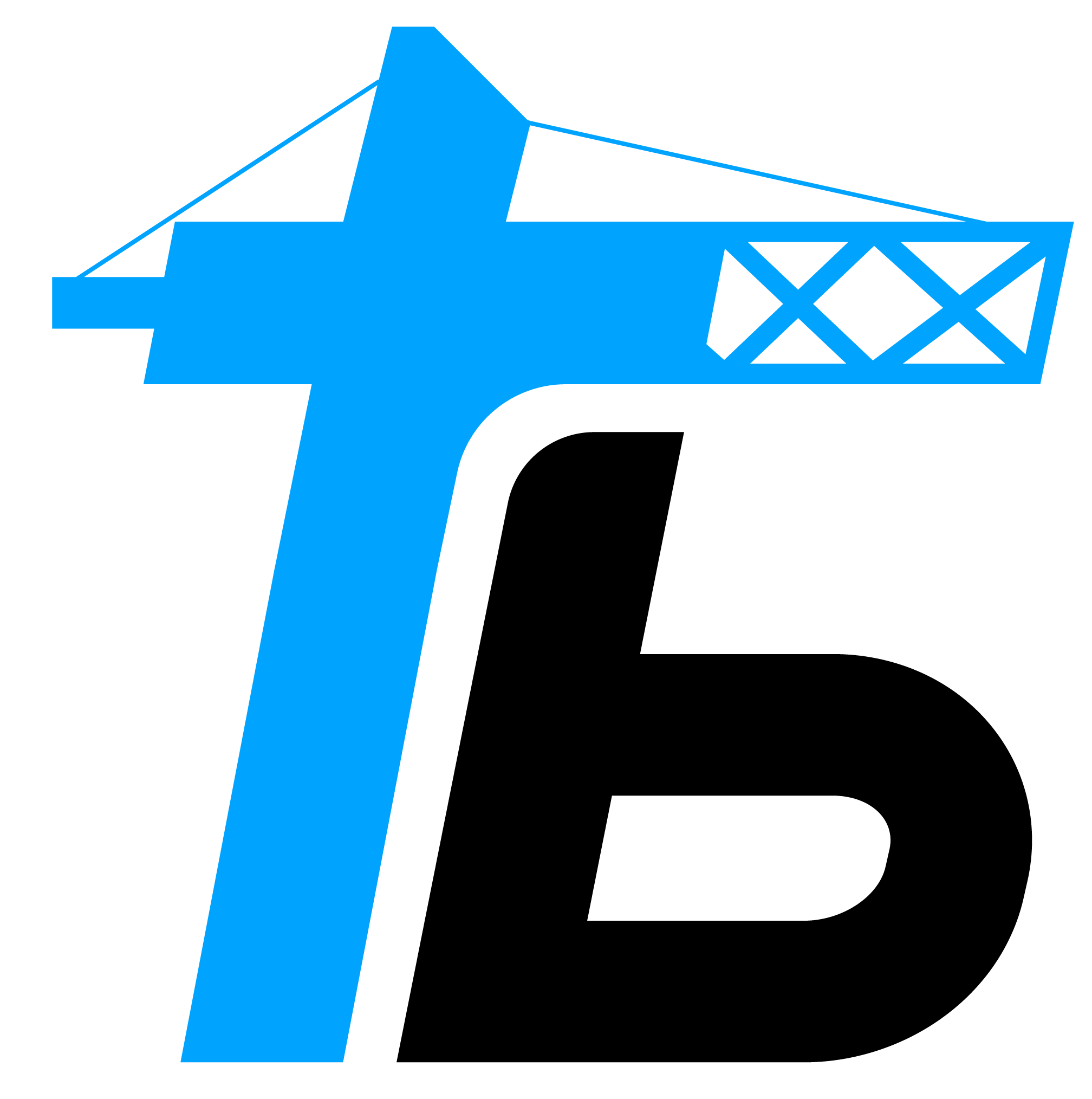 TechnoBuild Branding
